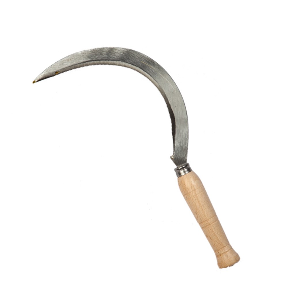 FALCINO DENTATO 10/0